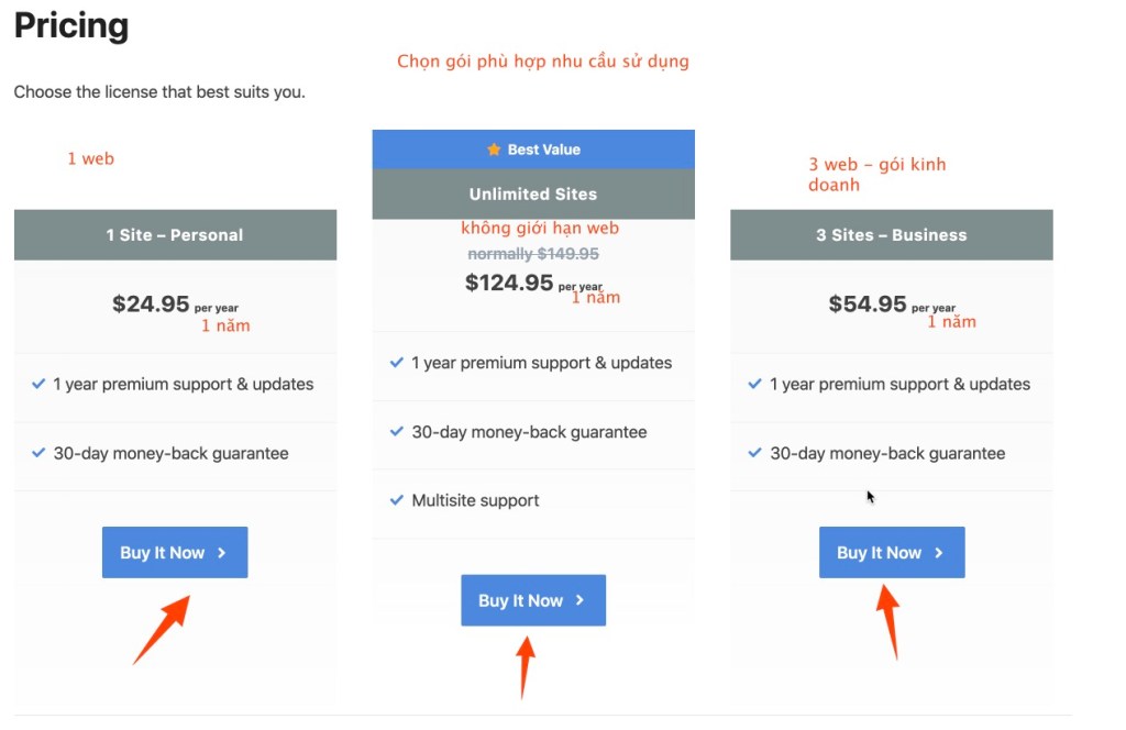 Perfmatters các gói đăng ký